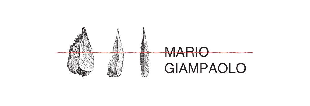 mariogiampaolo.com